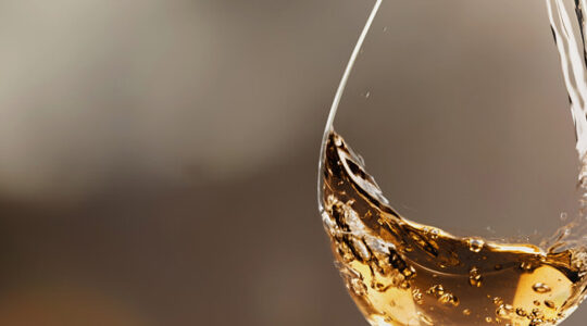 acheter-du-vin-blanc-a-faible-teneur-en-alcool